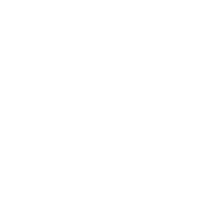 money bag icon